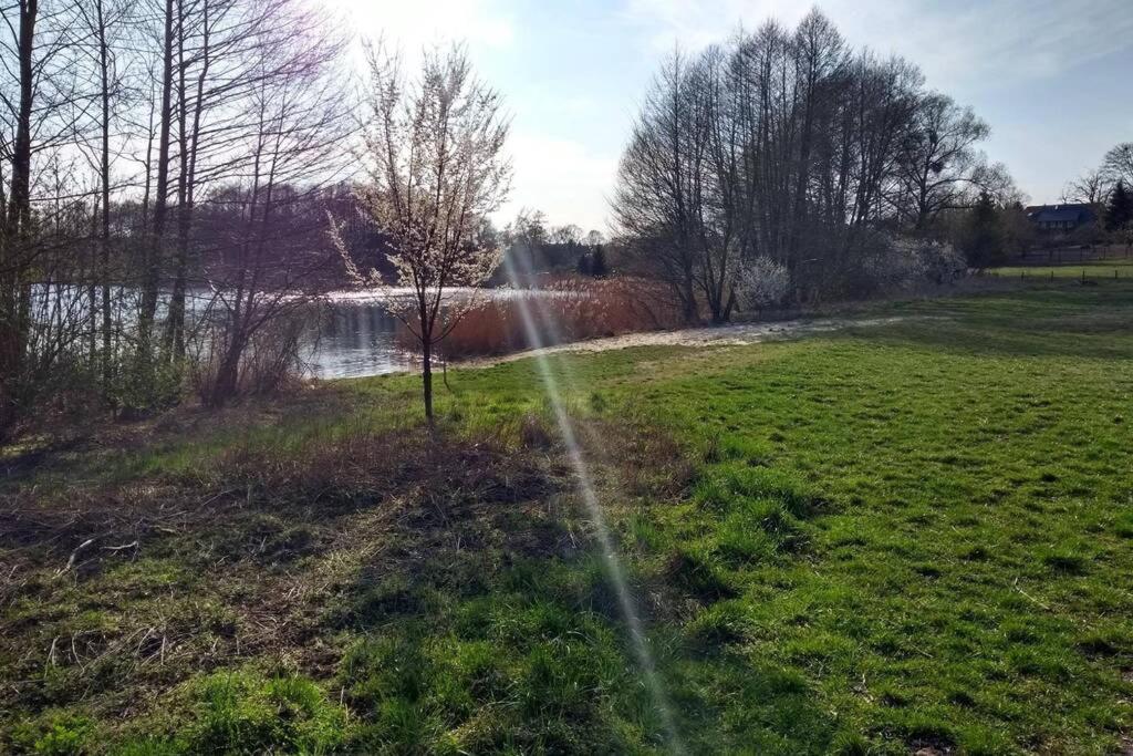 אנגרמונד Ferienwohnung In Peetzig Am See מראה חיצוני תמונה
