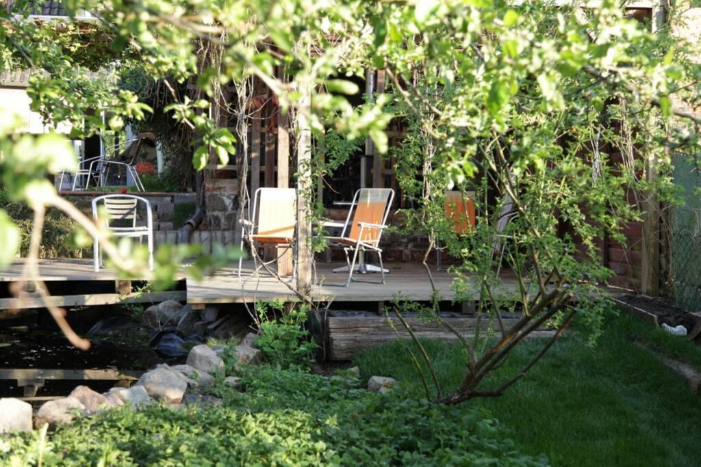 אנגרמונד Ferienwohnung In Peetzig Am See מראה חיצוני תמונה